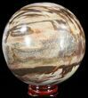 Colorful Petrified Wood Sphere #49756-1
